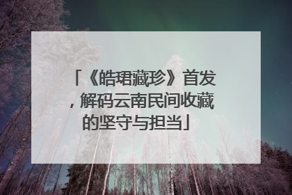 《皓珺藏珍》首发，解码云南民间收藏的坚守与担当