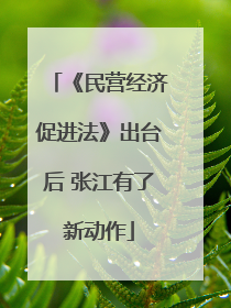 《民营经济促进法》出台后 张江有了新动作