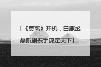 《莫离》开机，白鹿丞磊新剧携手谋定天下