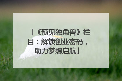 《预见独角兽》栏目：解锁创业密码，助力梦想启航