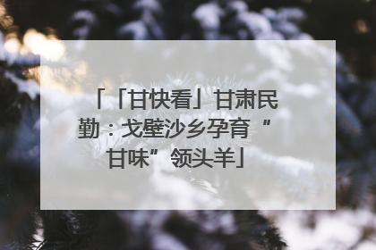 「甘快看」甘肃民勤：戈壁沙乡孕育“甘味”领头羊