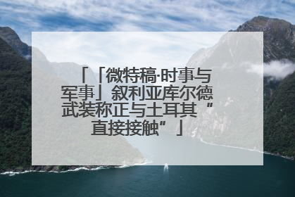 「微特稿·时事与军事」叙利亚库尔德武装称正与土耳其“直接接触”