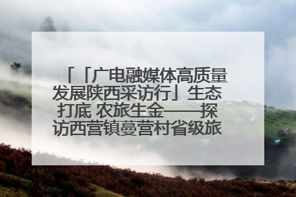 「广电融媒体高质量发展陕西采访行」生态打底 农旅生金——探访西营镇蔓营村省级旅游示范村的振兴密码