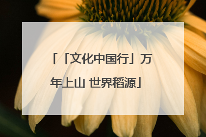 「文化中国行」万年上山 世界稻源