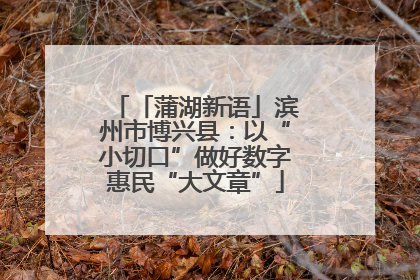 「蒲湖新语」滨州市博兴县：以“小切口”做好数字惠民“大文章”