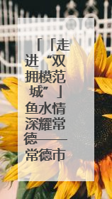 「走进“双拥模范城”」鱼水情深耀常德——常德市第三次荣膺“全国双拥模范城”