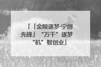 「金陵逐梦·宁创先锋」“万千”逐梦 “机”智创业