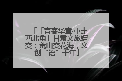 「青春华章·重走西北角」甘肃文旅嬗变：荒山变花海，文创“语”千年