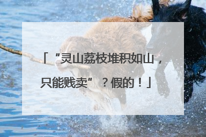 “灵山荔枝堆积如山，只能贱卖”？假的！
