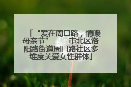 “爱在周口路，情暖母亲节”——市北区洛阳路街道周口路社区多维度关爱女性群体