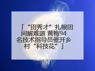 “田秀才”扎根田间解难题 黄梅94名技术指导员催开乡村“科技花”