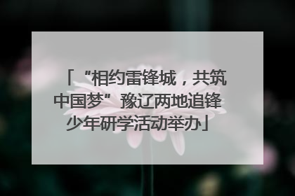 “相约雷锋城，共筑中国梦”豫辽两地追锋少年研学活动举办