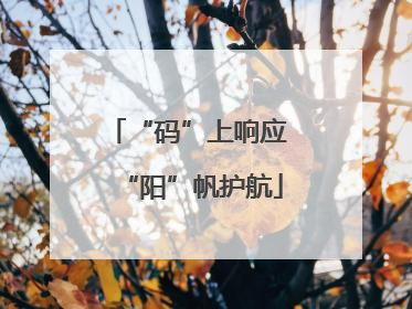 “码”上响应 “阳”帆护航