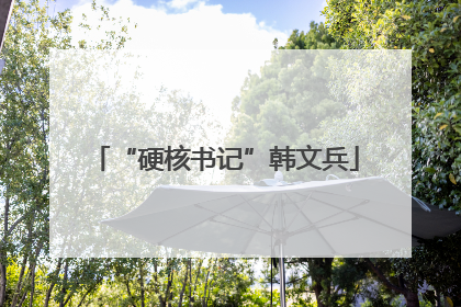 “硬核书记”韩文兵