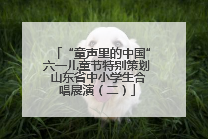 “童声里的中国”六一儿童节特别策划 山东省中小学生合唱展演（二）
