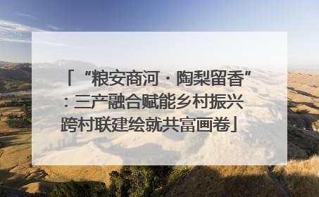 “粮安商河・陶梨留香”：三产融合赋能乡村振兴 跨村联建绘就共富画卷