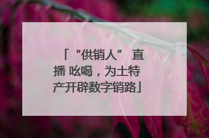 “供销人” 直播 吆喝，为土特产开辟数字销路