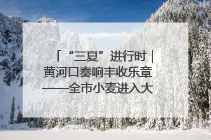 “三夏”进行时｜黄河口奏响丰收乐章——全市小麦进入大面积收获高峰期