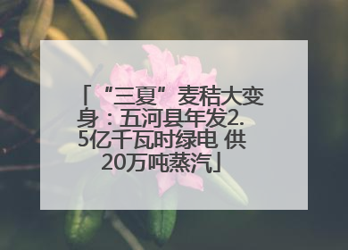 “三夏”麦秸大变身：五河县年发2.5亿千瓦时绿电 供20万吨蒸汽