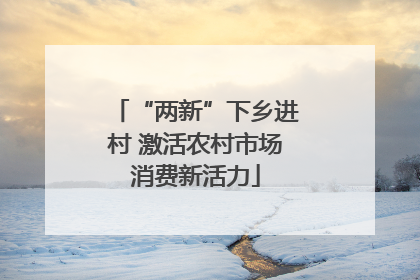 “两新”下乡进村 激活农村市场消费新活力