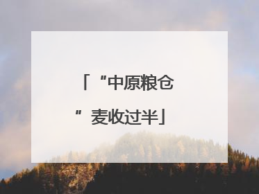“中原粮仓”麦收过半