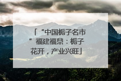 “中国栀子名市”福建福鼎：栀子花开，产业兴旺