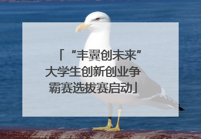 “丰翼创未来”大学生创新创业争霸赛选拔赛启动