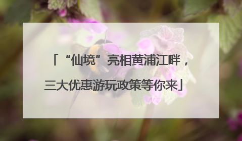 “仙境”亮相黄浦江畔，三大优惠游玩政策等你来