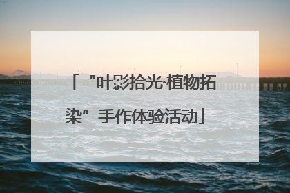“叶影拾光·植物拓染”手作体验活动
