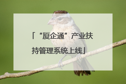 “厦企通”产业扶持管理系统上线