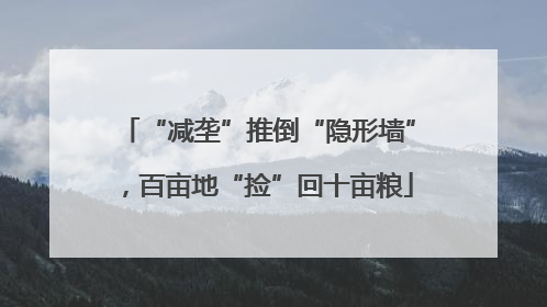 “减垄”推倒“隐形墙”，百亩地“捡”回十亩粮