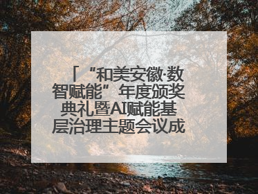“和美安徽·数智赋能”年度颁奖典礼暨AI赋能基层治理主题会议成功举办