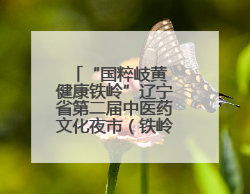 “国粹岐黄 健康铁岭”辽宁省第二届中医药文化夜市（铁岭站）启动
