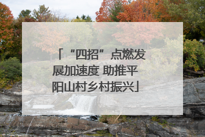 “四招”点燃发展加速度 助推平阳山村乡村振兴