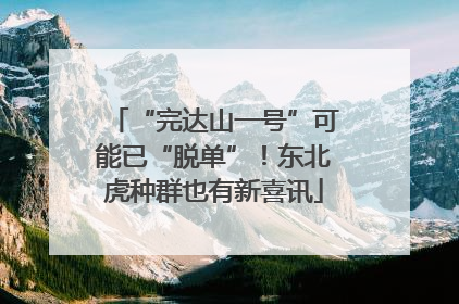“完达山一号”可能已“脱单”！东北虎种群也有新喜讯
