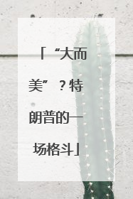 “大而美”？特朗普的一场格斗