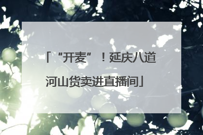 “开麦”！延庆八道河山货卖进直播间