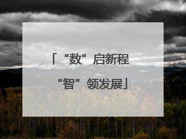 “数”启新程 “智”领发展