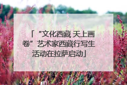 “文化西藏 天上画卷”艺术家西藏行写生活动在拉萨启动