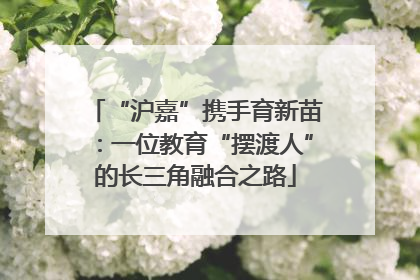 “沪嘉”携手育新苗：一位教育“摆渡人”的长三角融合之路