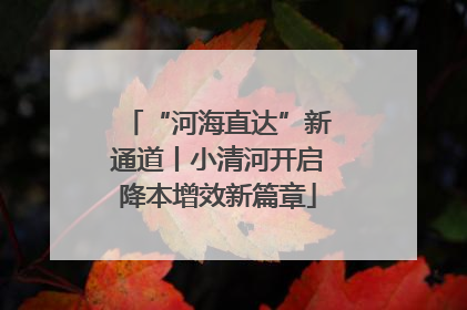 “河海直达”新通道丨小清河开启降本增效新篇章
