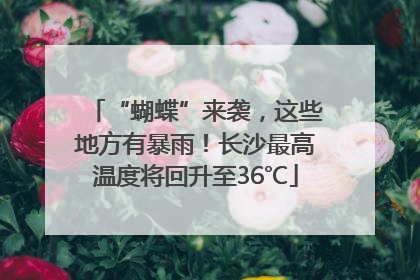 “蝴蝶”来袭，这些地方有暴雨！长沙最高温度将回升至36℃