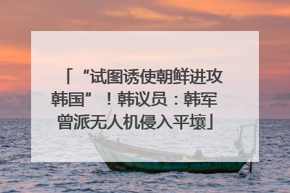 “试图诱使朝鲜进攻韩国”！韩议员：韩军曾派无人机侵入平壤