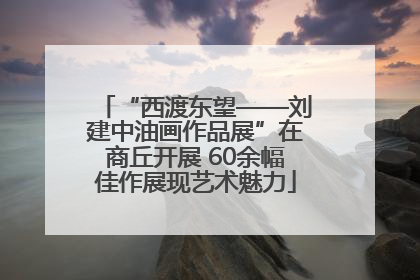 “西渡东望——刘建中油画作品展”在商丘开展 60余幅佳作展现艺术魅力
