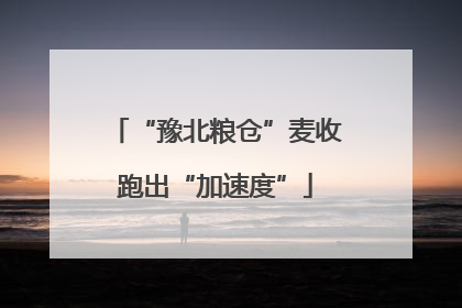 “豫北粮仓”麦收跑出“加速度”