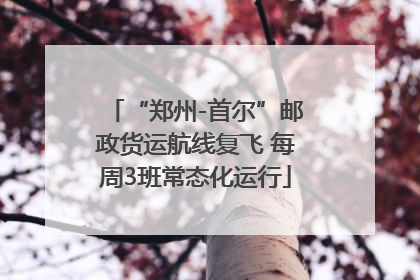 “郑州-首尔”邮政货运航线复飞 每周3班常态化运行