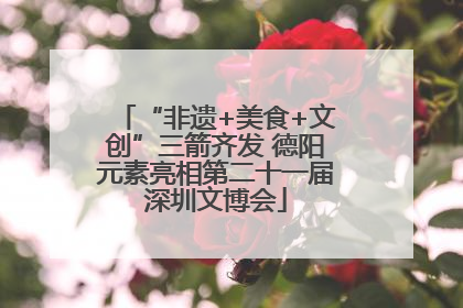 “非遗+美食+文创”三箭齐发 德阳元素亮相第二十一届深圳文博会