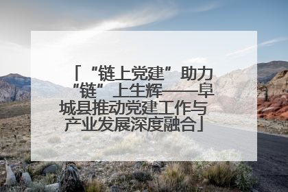“链上党建”助力“链”上生辉——阜城县推动党建工作与产业发展深度融合