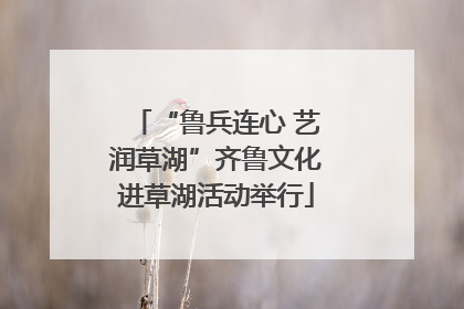 “鲁兵连心 艺润草湖”齐鲁文化进草湖活动举行