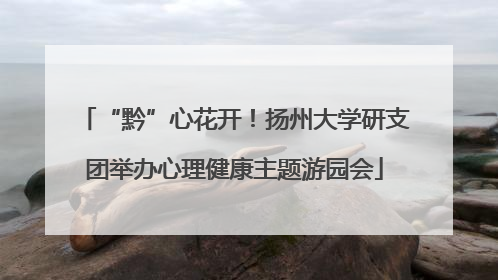 “黔”心花开！扬州大学研支团举办心理健康主题游园会